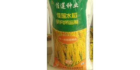 廠家批發(fā)水稻種子 水稻種子 農作物高產抗病強種子