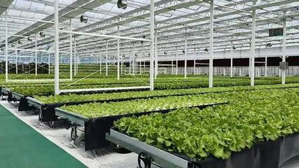 文山州這里現(xiàn)代農(nóng)業(yè)種業(yè)產(chǎn)業(yè)園建設(shè)項(xiàng)目