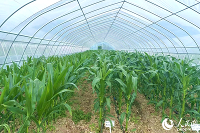 &ldquo;靠&rdquo;好山、&ldquo;吃&rdquo;好海 福建省政協(xié)農(nóng)業(yè)農(nóng)村委開展?jié)O港、種業(yè)發(fā)展調(diào)研