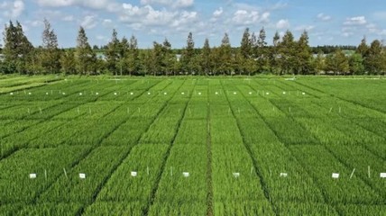 光明農發集團聚焦種業創新,打造長三角未來種業發展策源地