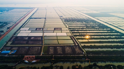 南沙種業(yè)企業(yè)創(chuàng)佳績,兩項目入選&ldquo;智威杯&rdquo;決賽